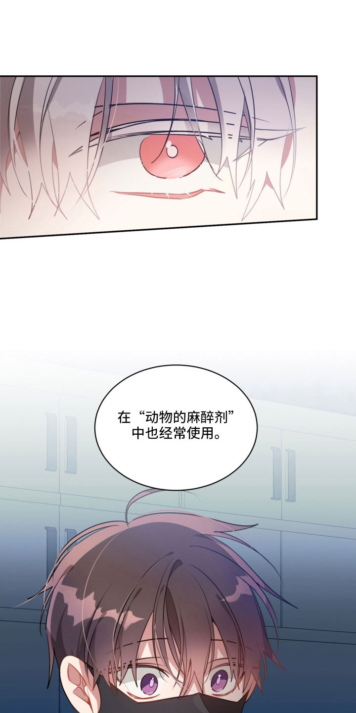 第53章：一点不危险8