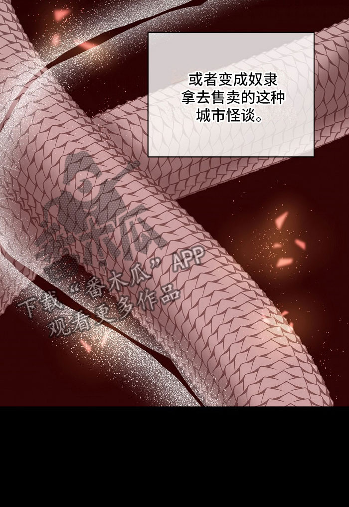第5章：双胞胎20