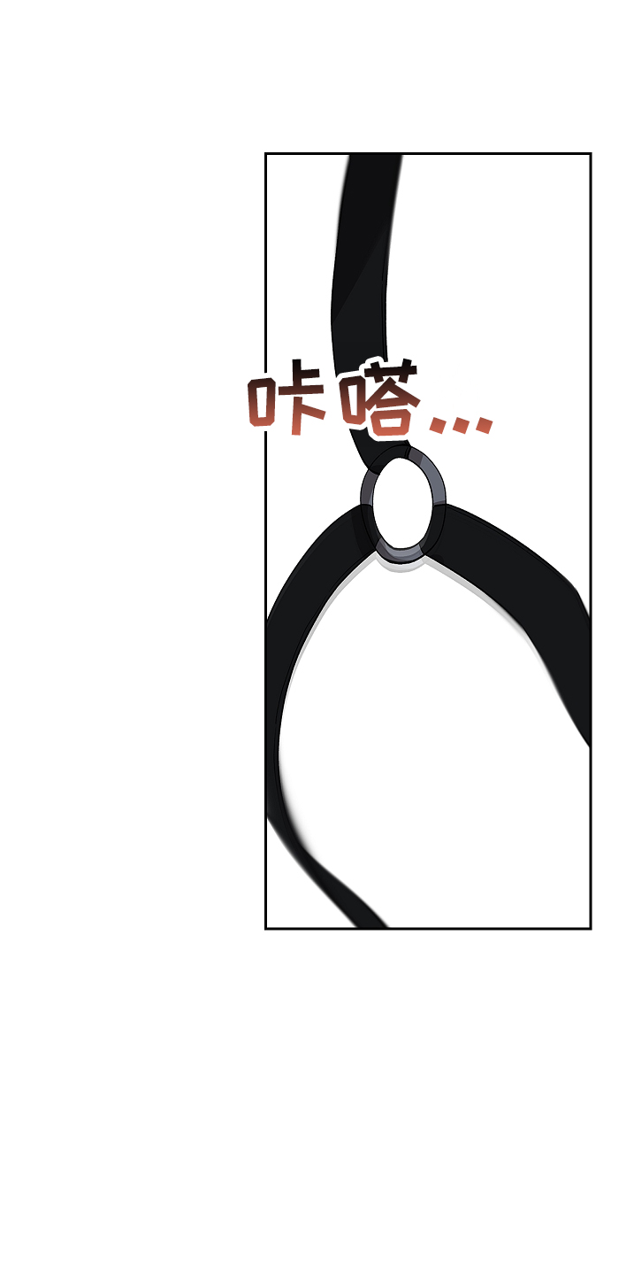 第29章：失去理性14