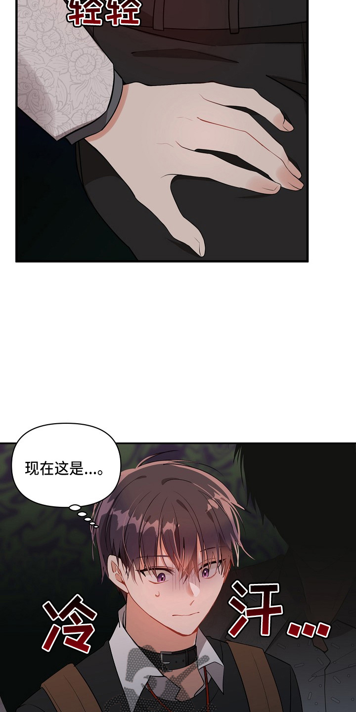 第19章：心悸4