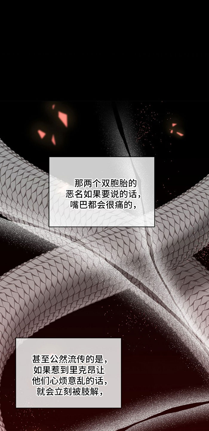 第5章：双胞胎19