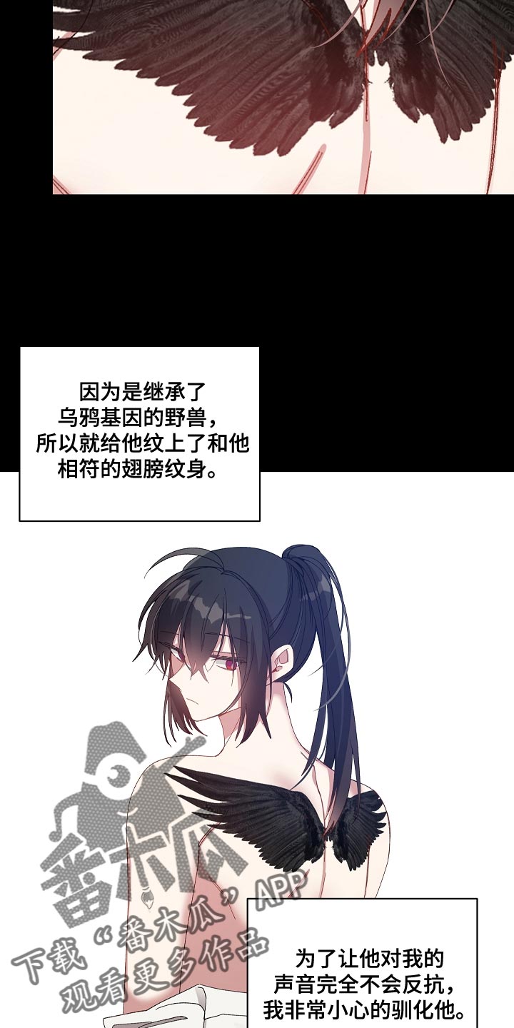 第64章：我的创造是成功的2