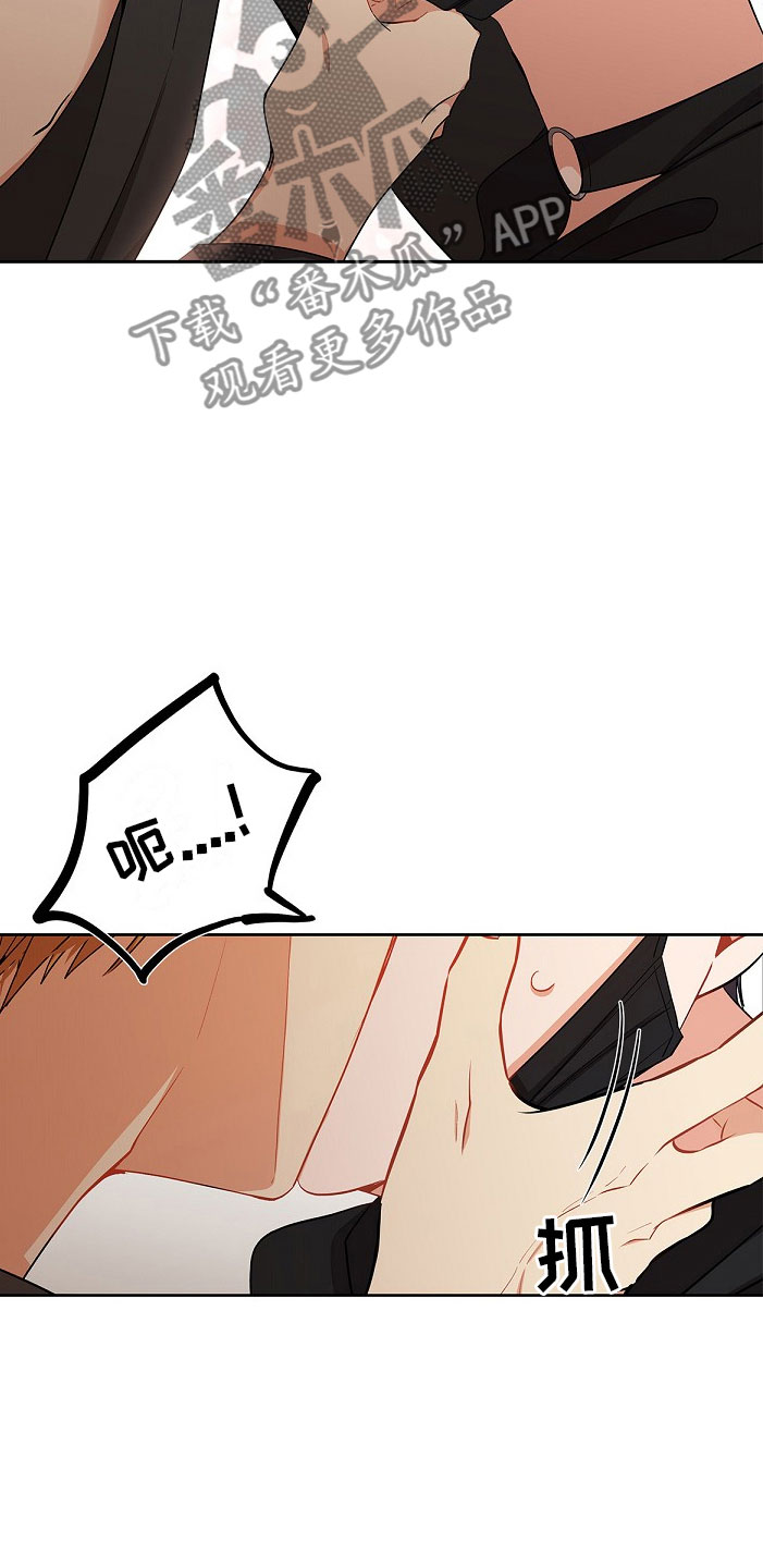 第7章：疯子17
