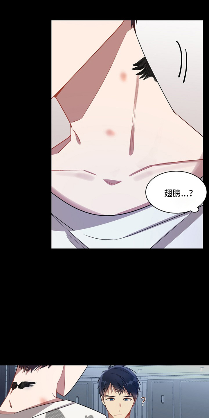 第24章：小猫咪17