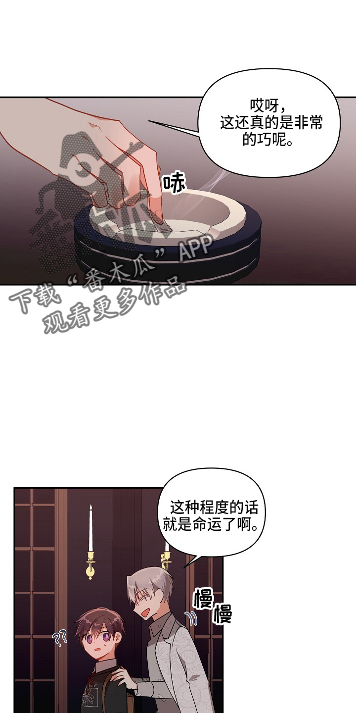 第19章：心悸2