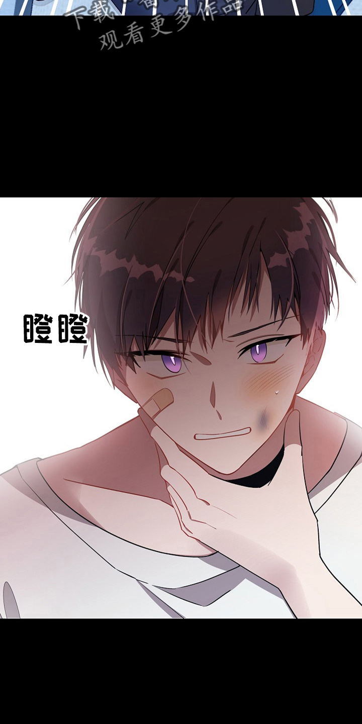 第24章：小猫咪12