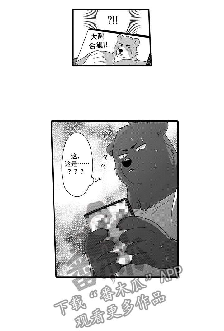 第17章：做客12