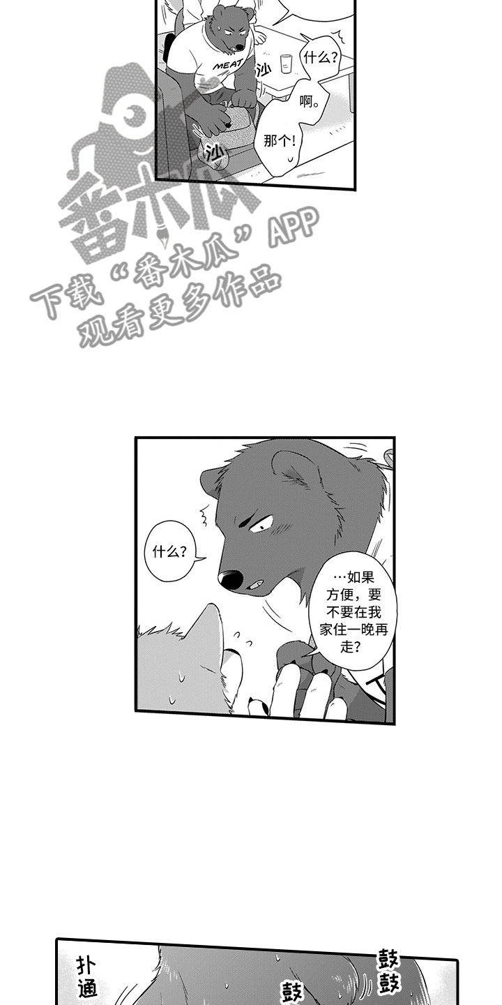 第17章：做客6