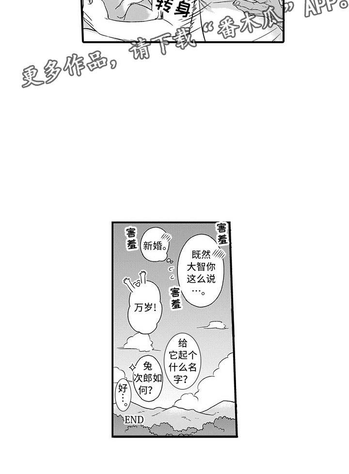 第15章：兔子12