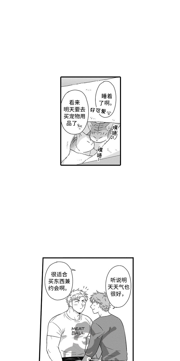 第22章：猫咪11