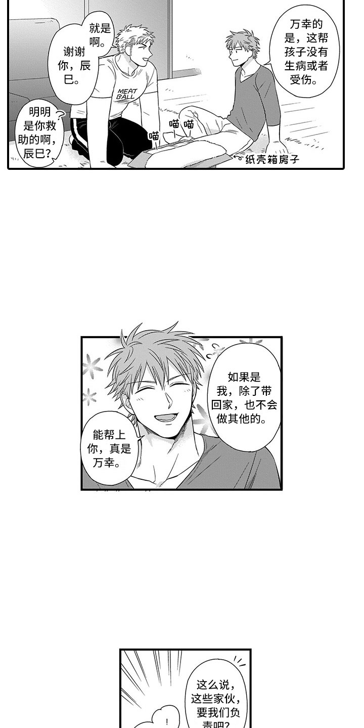 第22章：猫咪8
