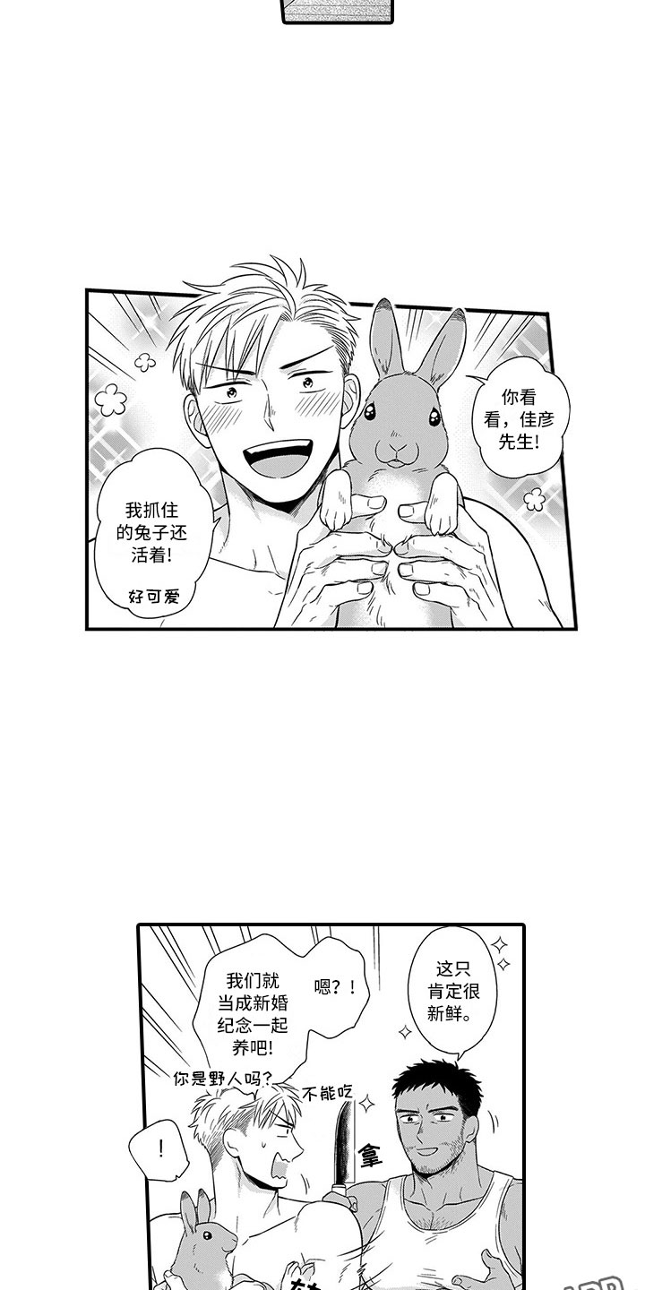 第15章：兔子11