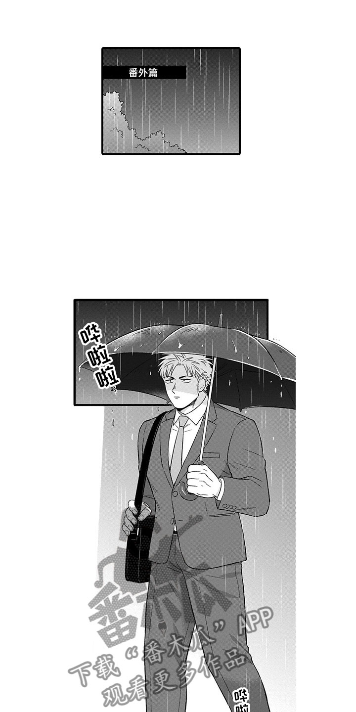 第22章：猫咪0
