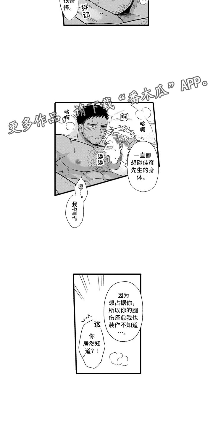 第15章：兔子6