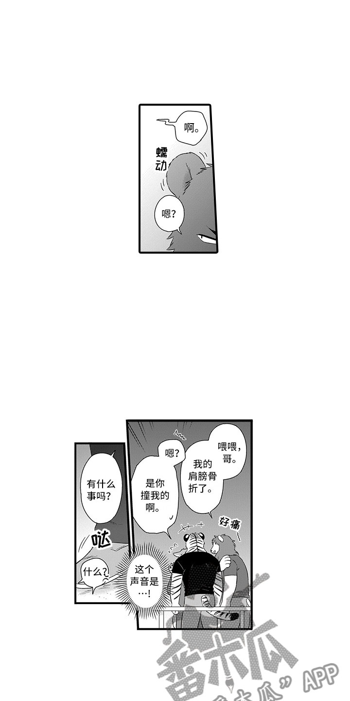 第16章：熊老师13