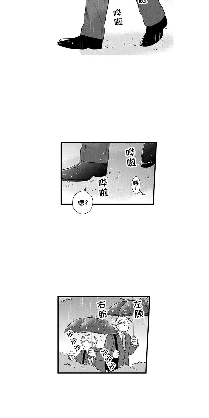 第22章：猫咪1