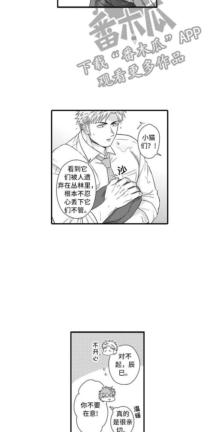 第22章：猫咪5