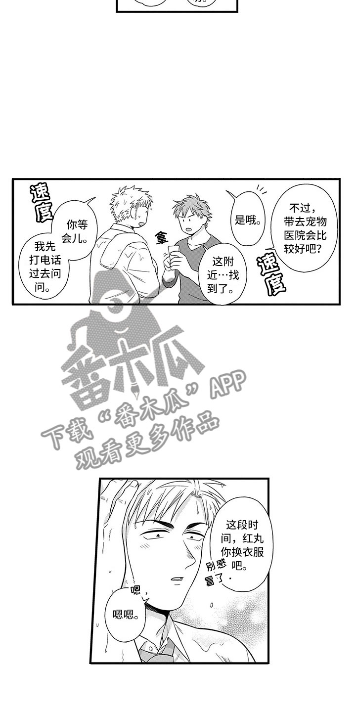 第22章：猫咪6