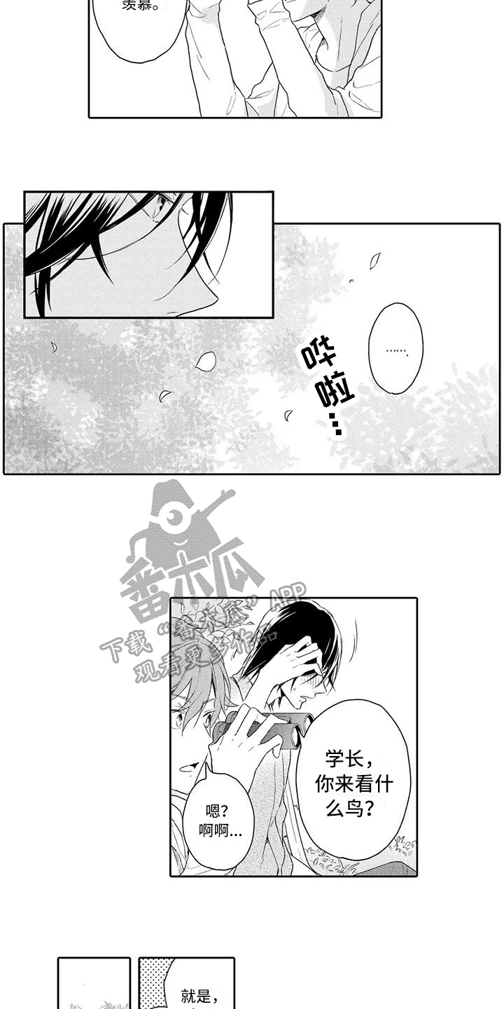 第7章：暗恋9