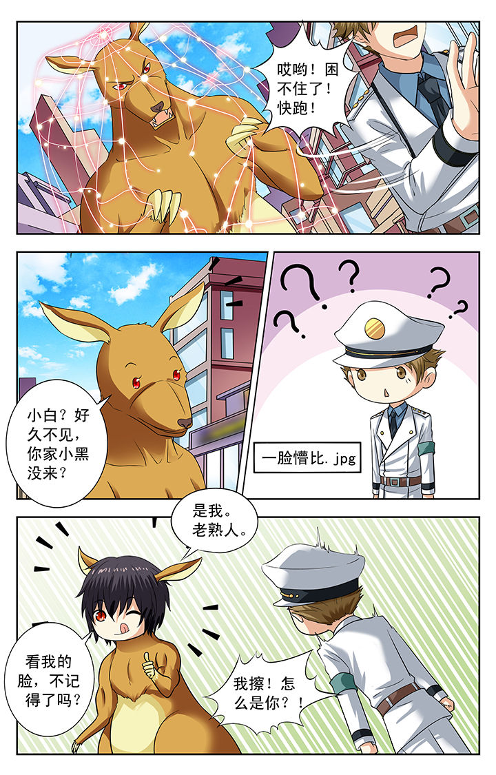 第162章：3