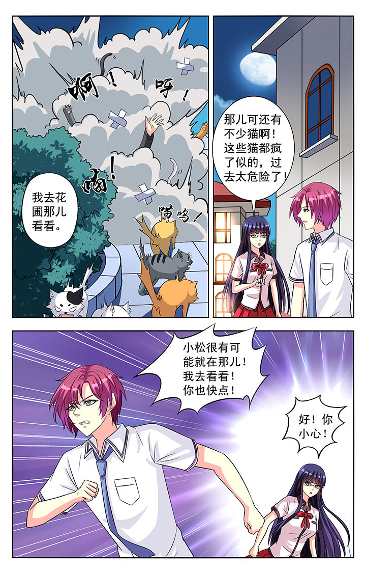 第54章：4
