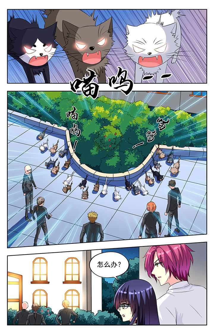 第54章：1