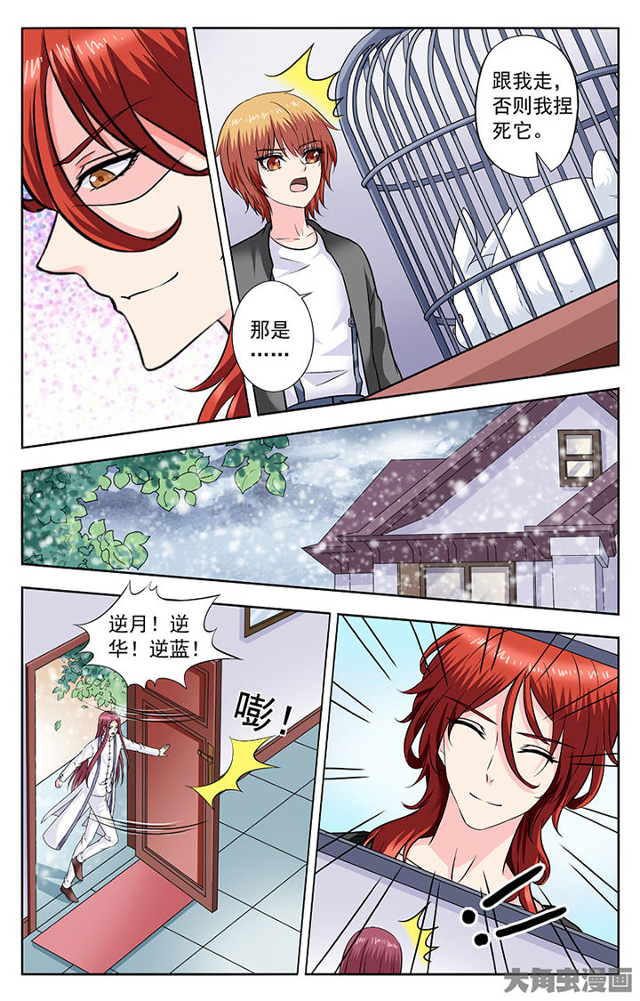 第282章：7