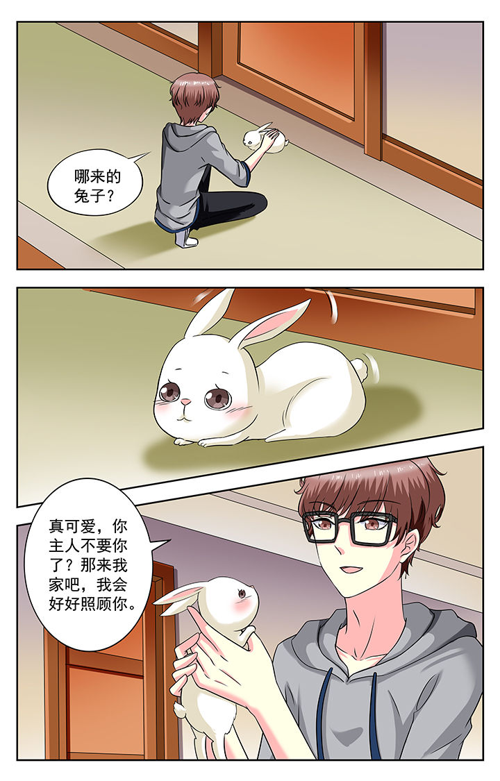 第176章：6