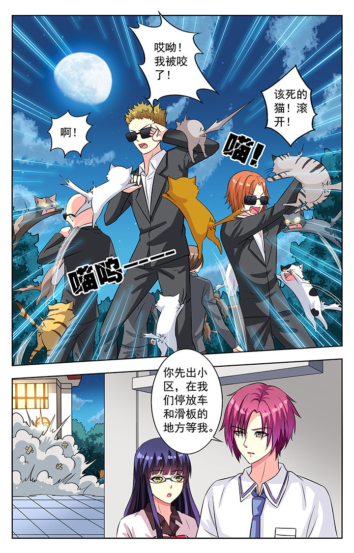 第54章：3