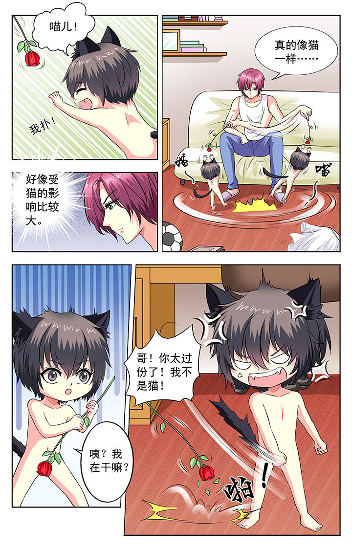第58章：3