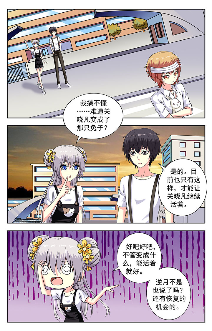 第176章：3