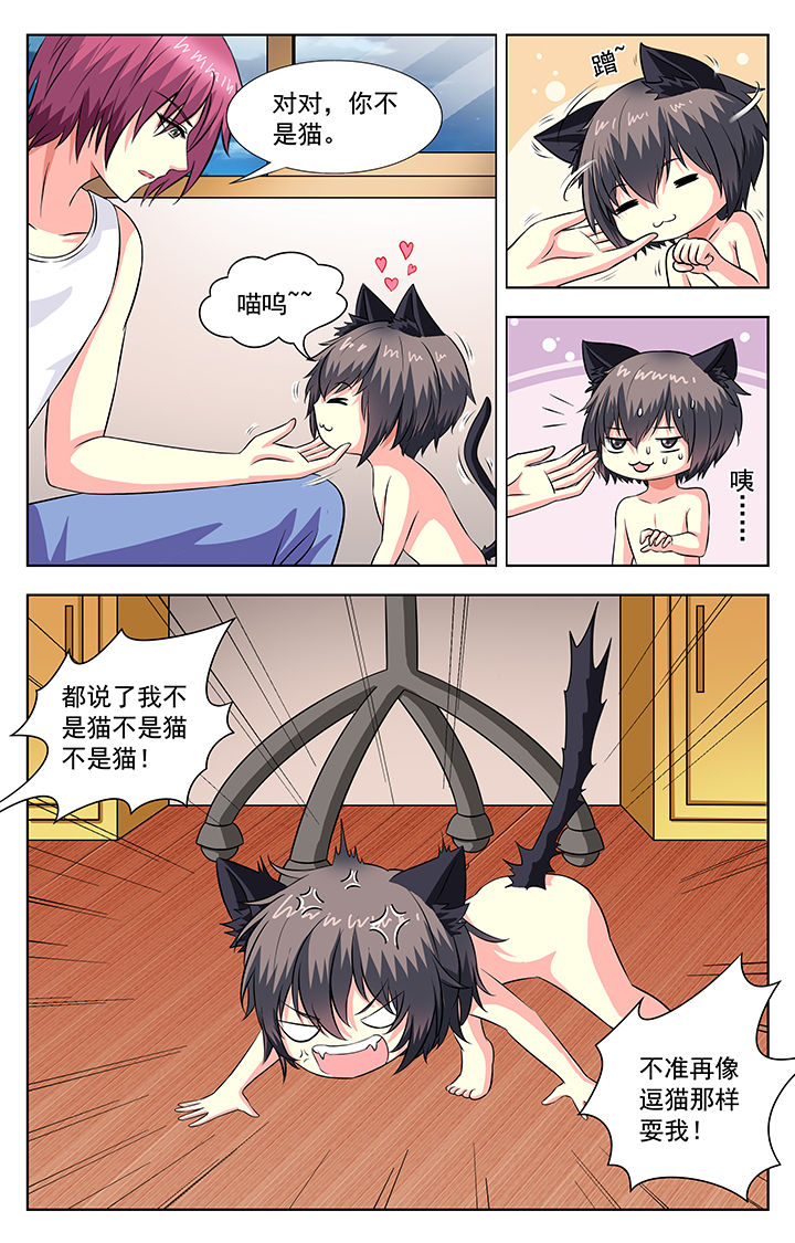第58章：4