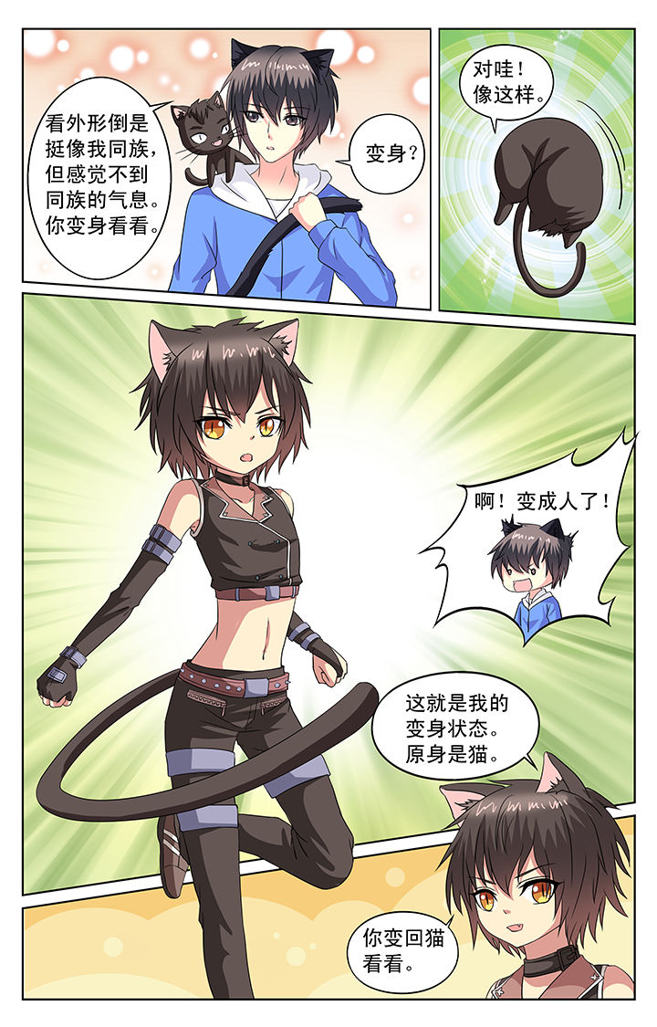 第67章：6