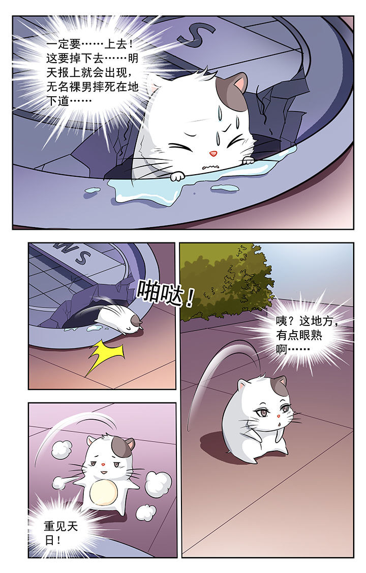 第113章：6