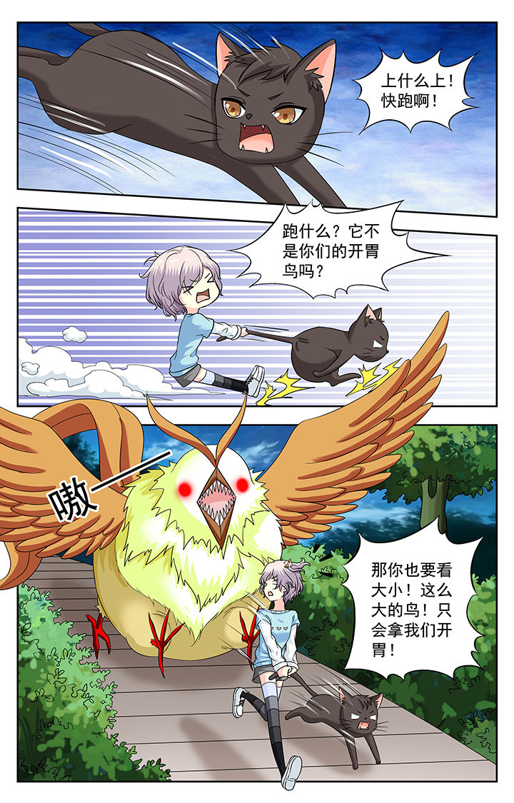 第223章：5