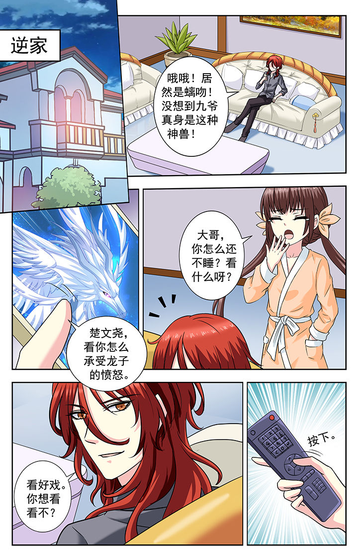 第232章：3