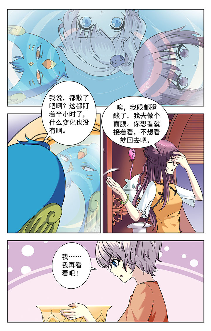 第219章：5