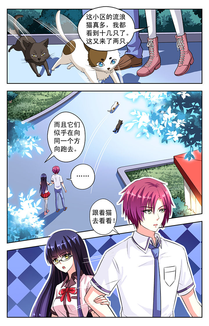 第53章：7