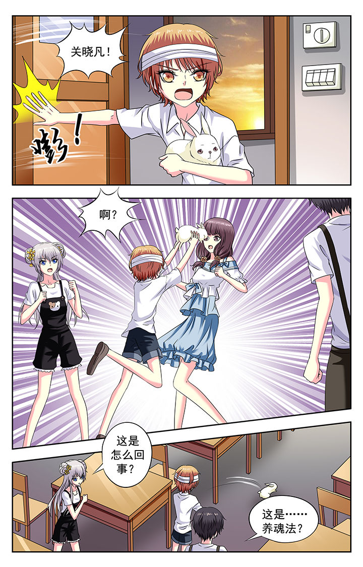 第176章：1