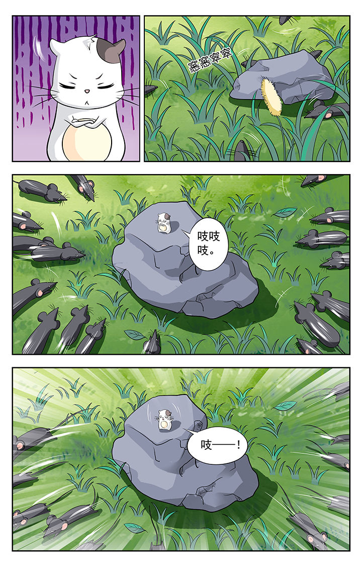 第115章：6