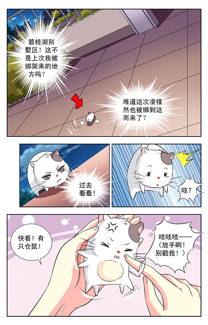 第113章：7