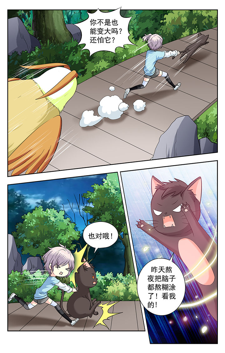 第223章：6