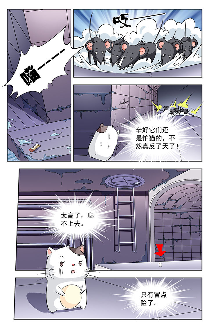 第113章：4