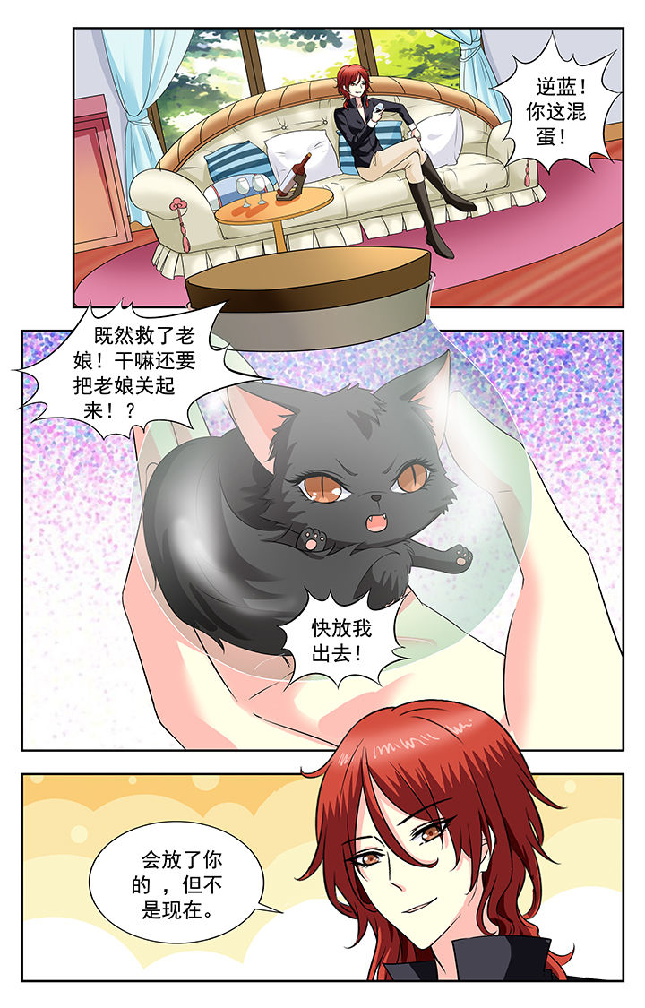 第194章：7