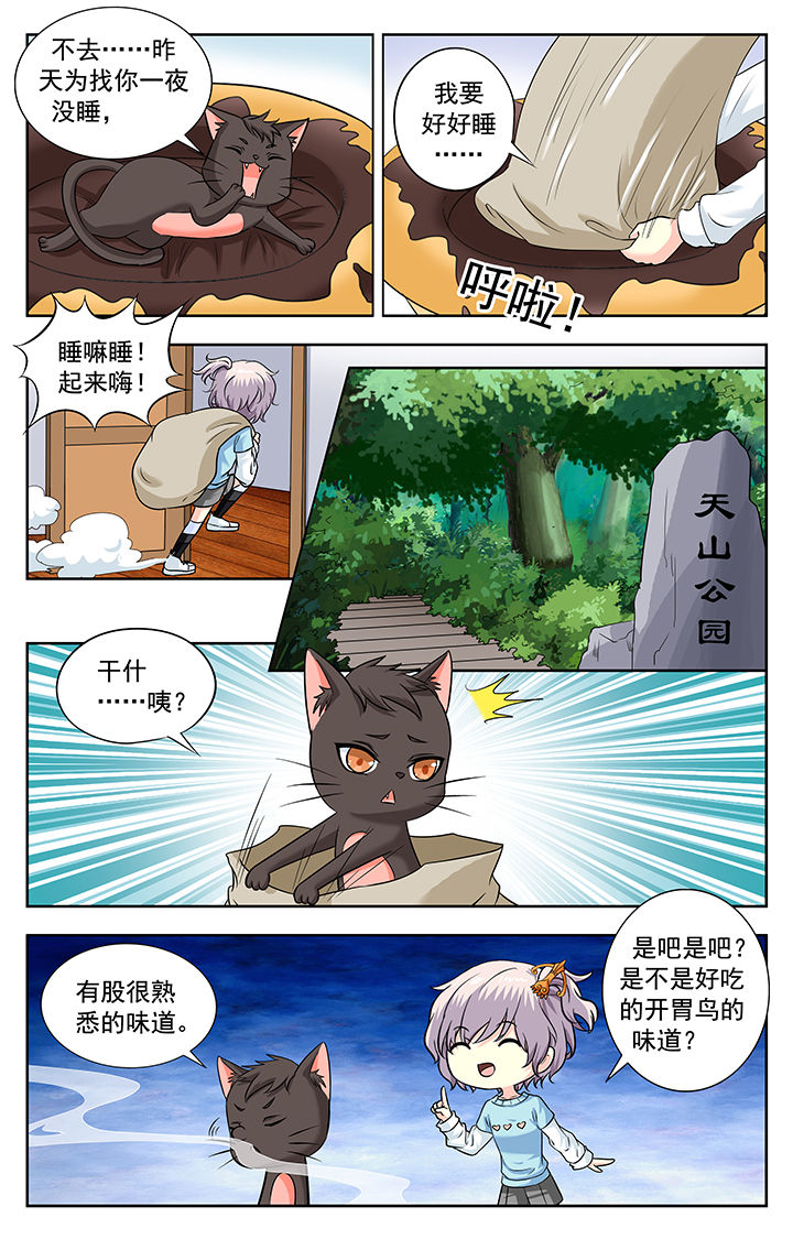 第223章：3