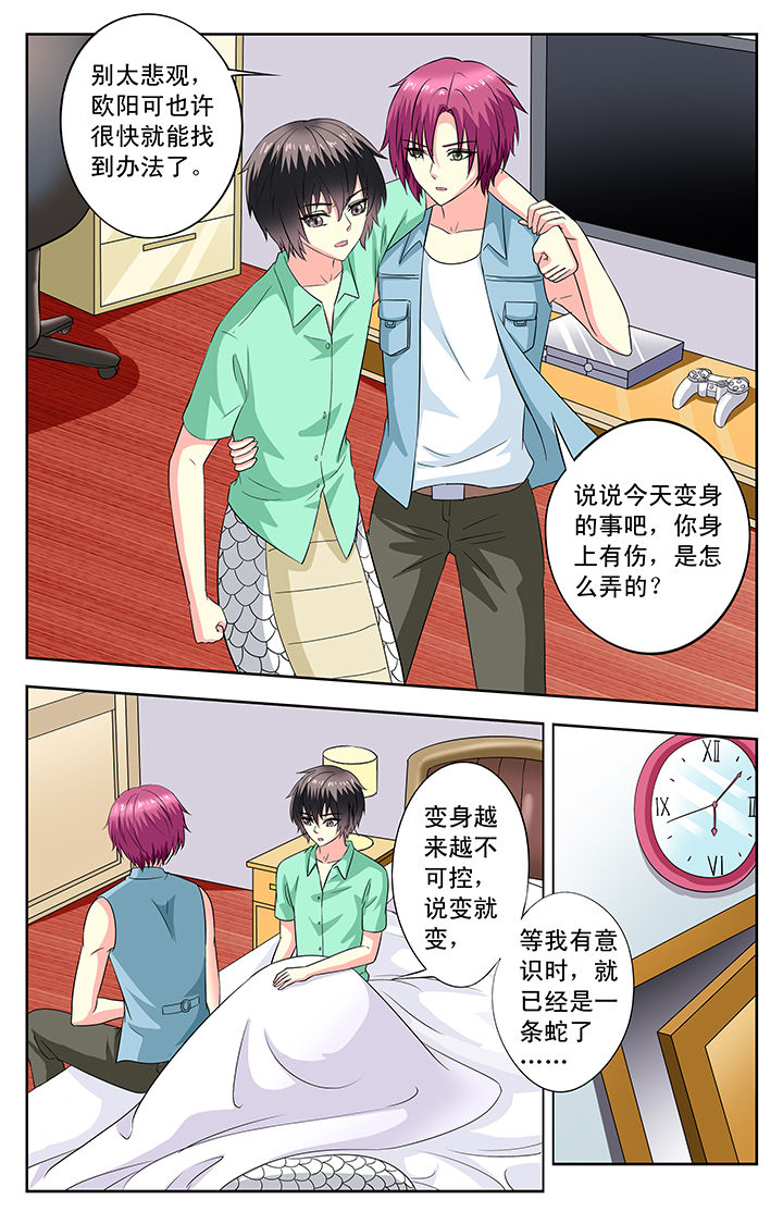 第82章：6