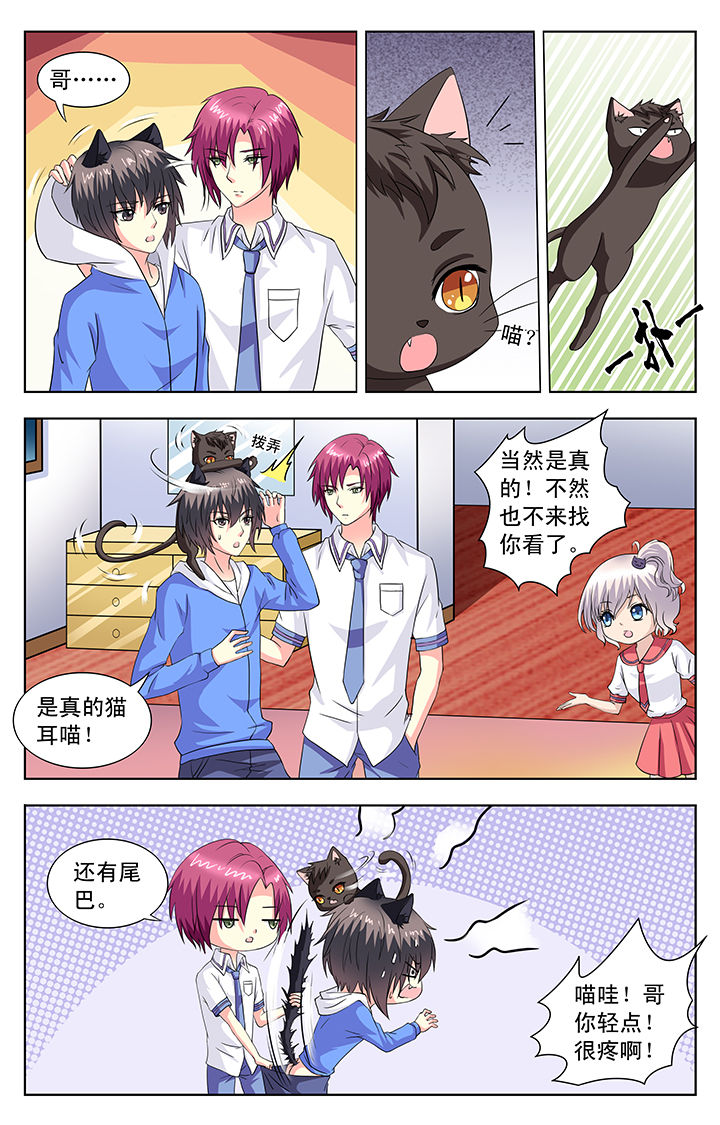 第67章：5