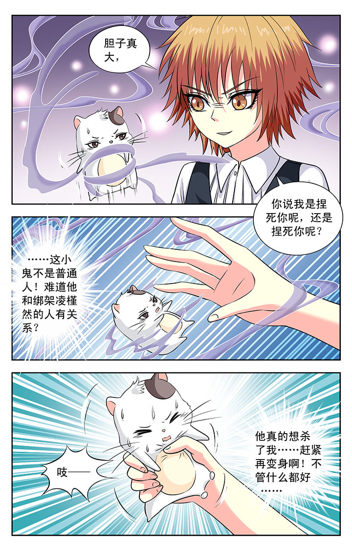 第114章：3