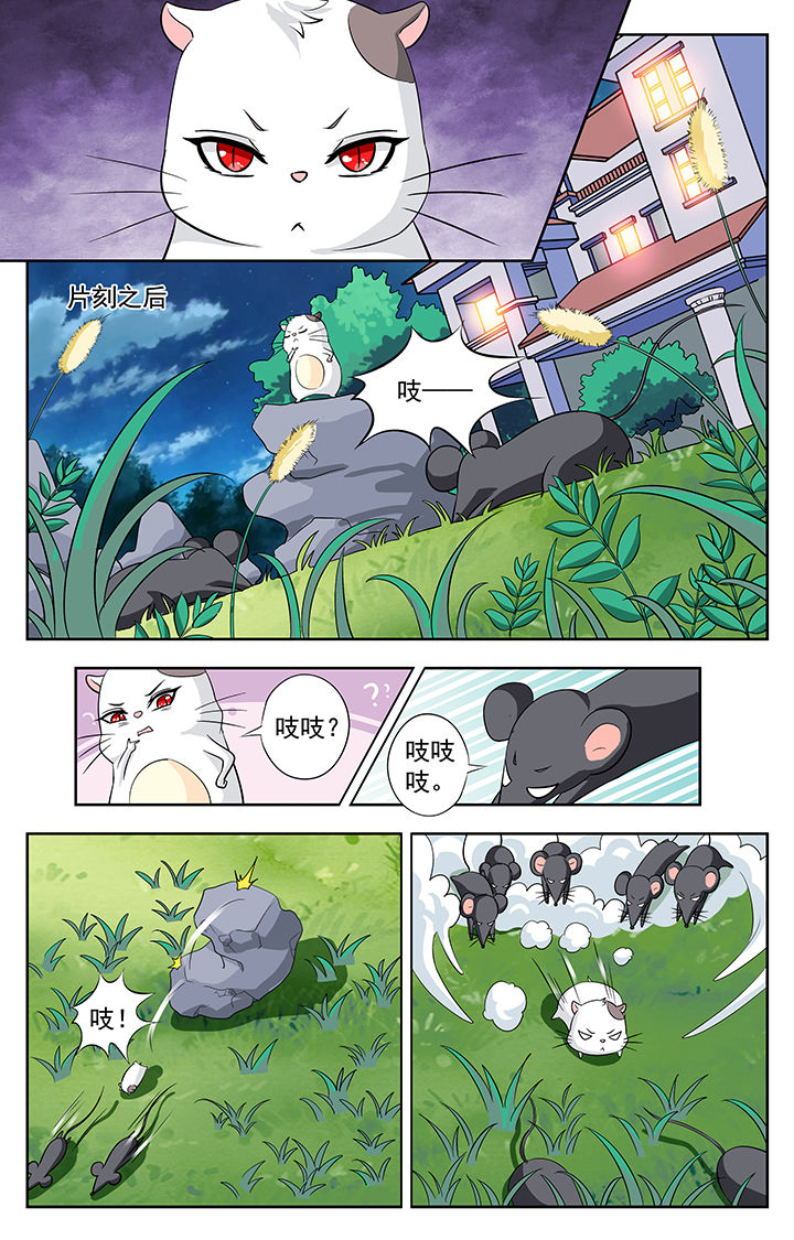 第115章：7