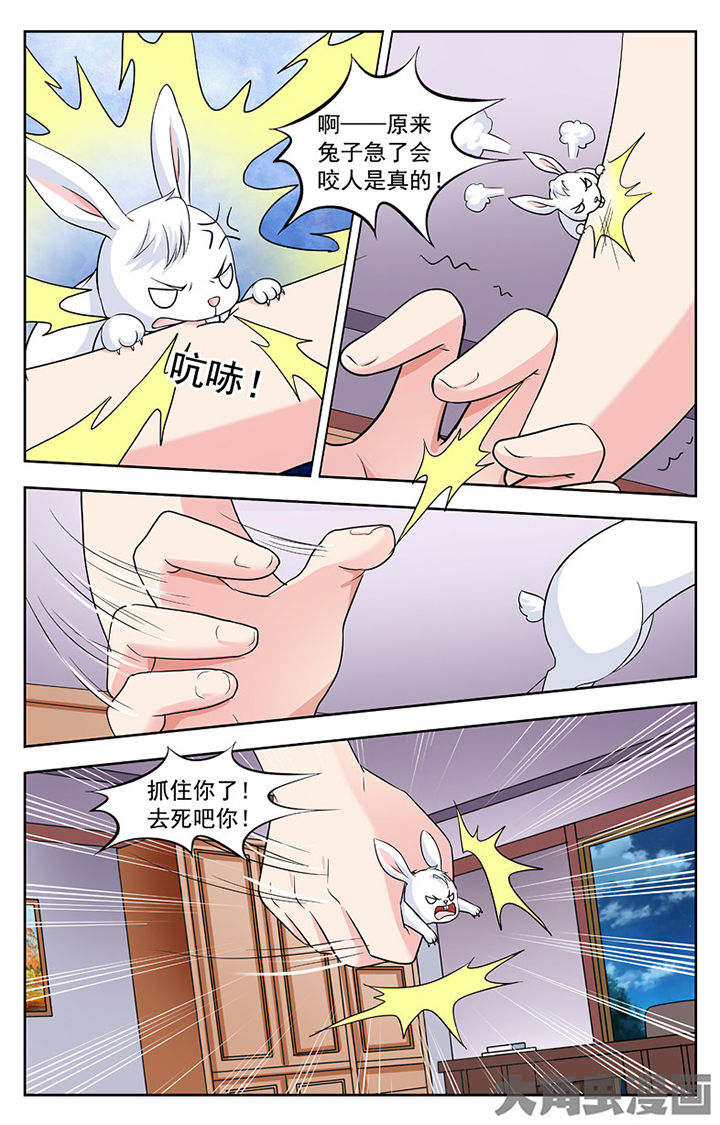 第250章：7